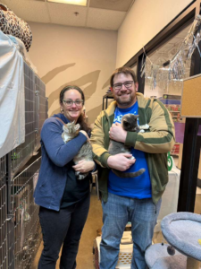 Kiwi and blue kittens adopted